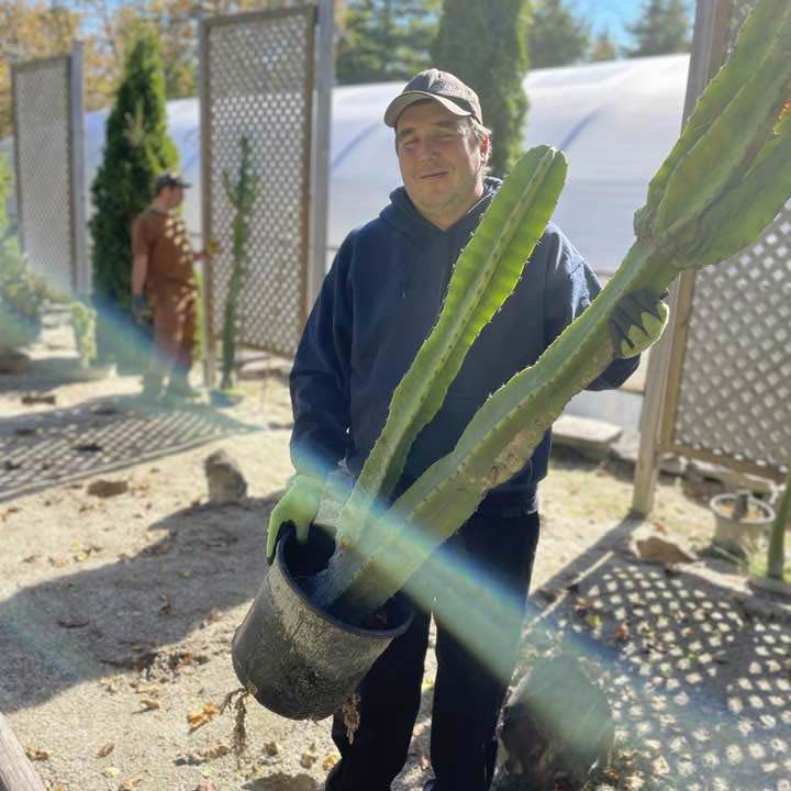 Horticultural worker Les Jardins de Doris