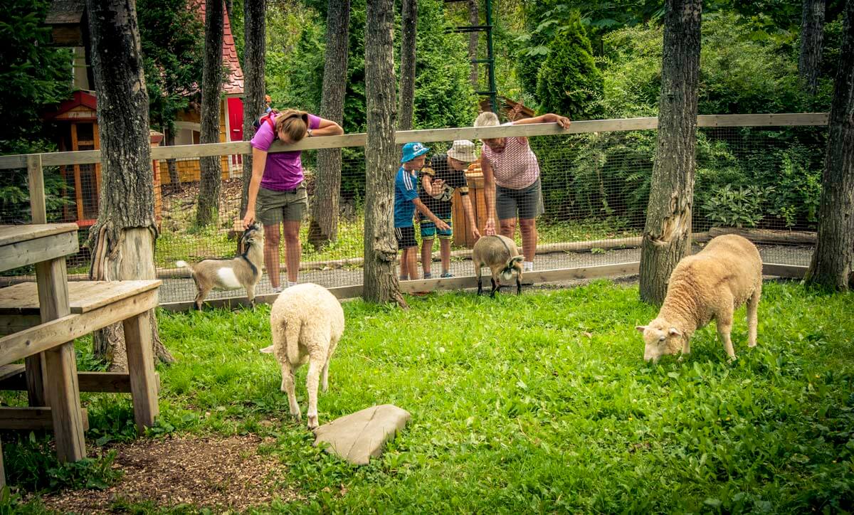 Small animal park, Les Jardins de Doris