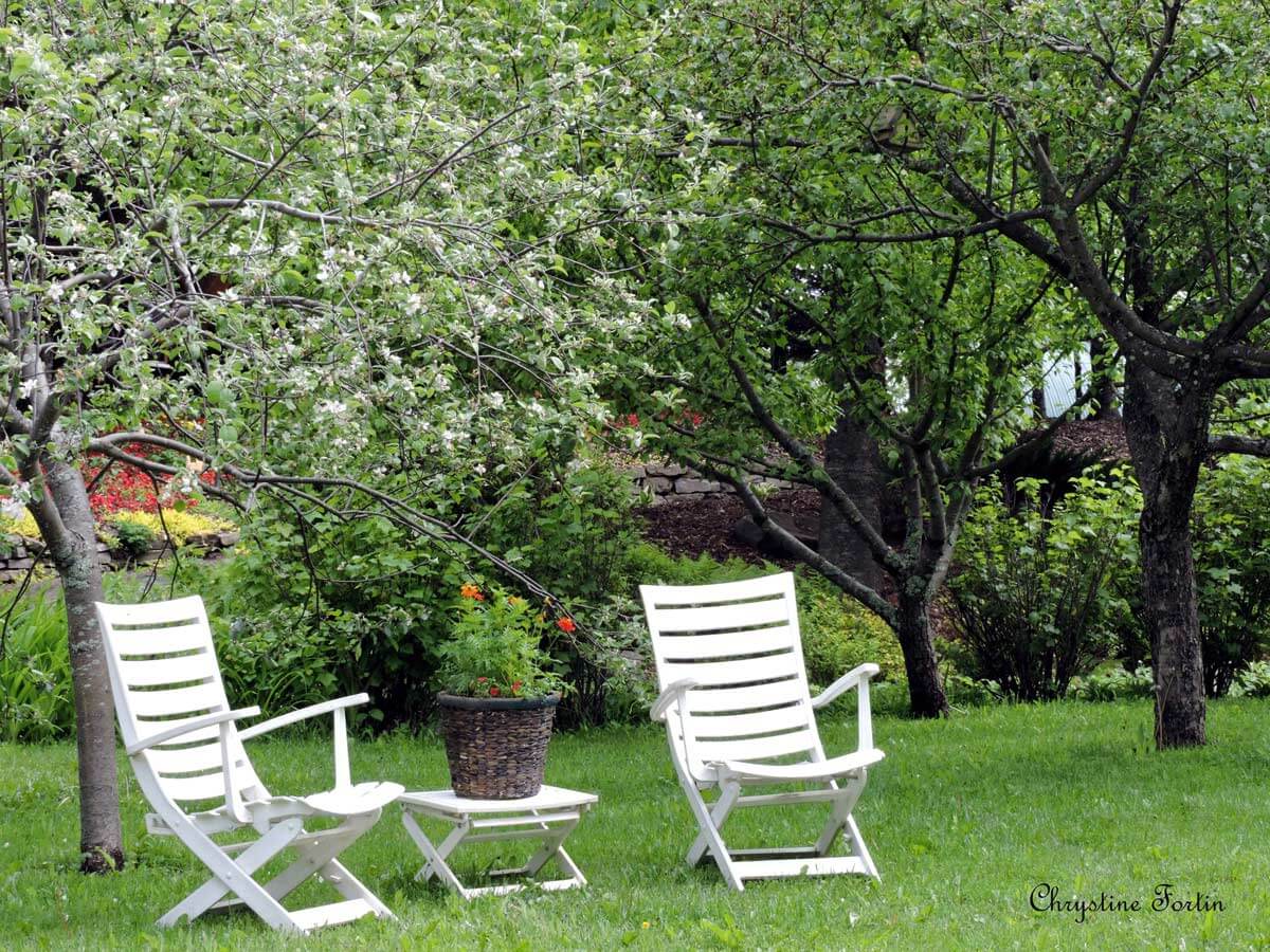 Two white chairs under the trees in a landscaped area that invites relaxation.